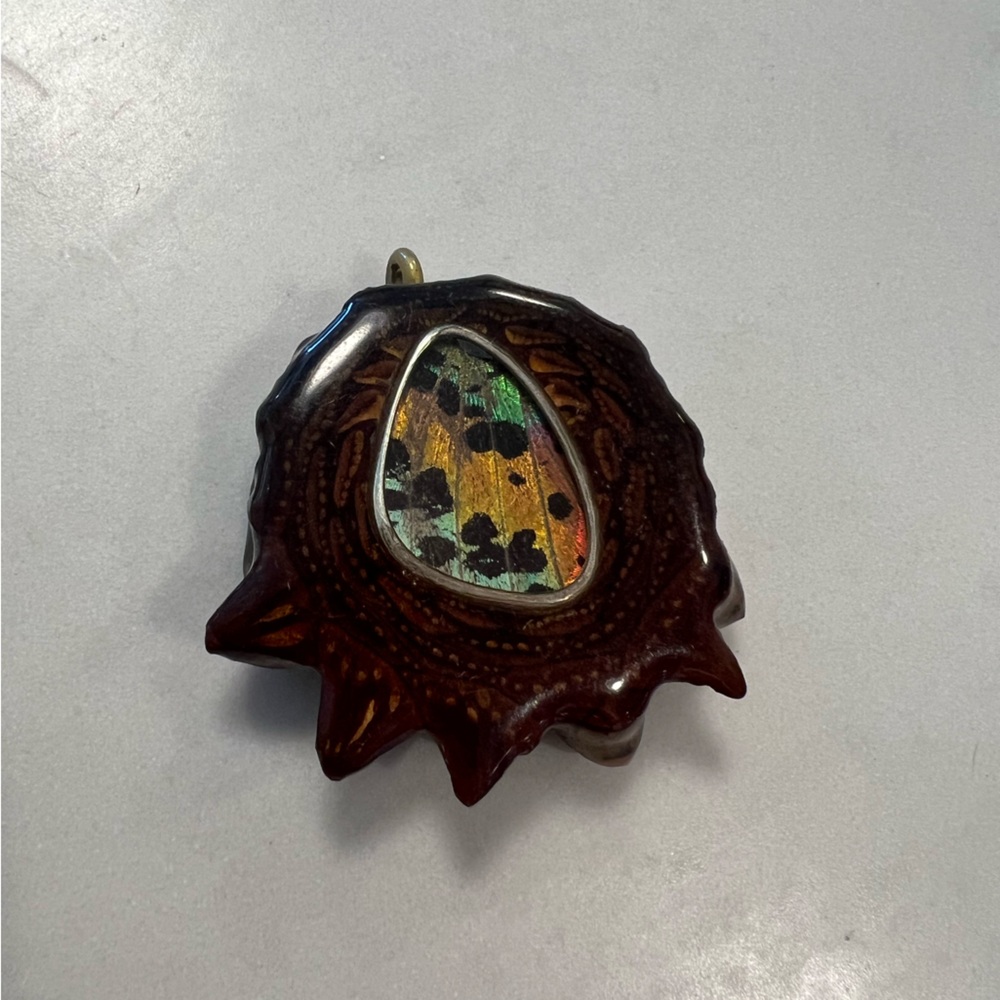 Third eye pinecone with sunset moth butterfly wing.